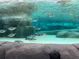 天王寺動物園に投稿された画像（2023/5/20）