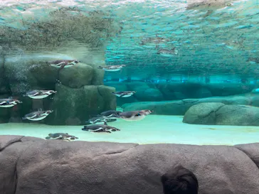 天王寺動物園に投稿された画像（2023/5/20）