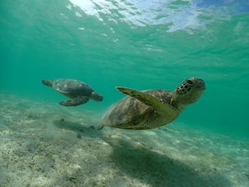 ちゃこたびに投稿された画像（2023/5/20）