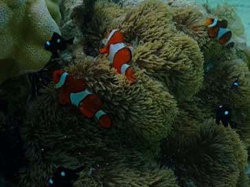 ちゃこたびに投稿された画像（2023/5/20）