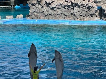 名古屋港水族館に投稿された画像（2023/5/20）