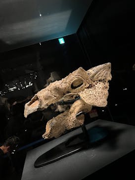 特別展「恐竜博2023」に投稿された画像（2023/5/20）