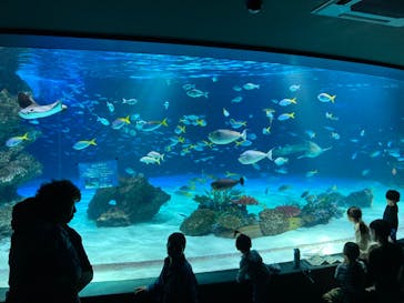 サンシャイン水族館に投稿された画像（2023/5/20）