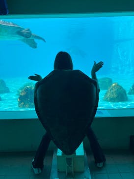 沖縄美ら海水族館に投稿された画像（2023/5/20）
