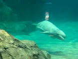 名古屋港水族館に投稿された画像（2023/5/20）