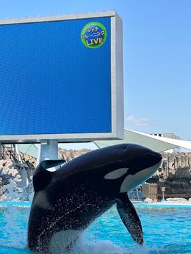 名古屋港水族館に投稿された画像（2023/5/20）