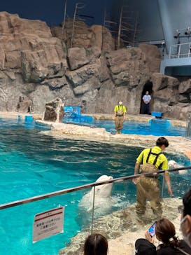 名古屋港水族館に投稿された画像（2023/5/20）