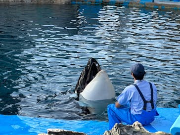 名古屋港水族館に投稿された画像（2023/5/20）
