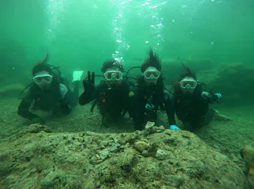 武藤潜水に投稿された画像（2023/5/20）