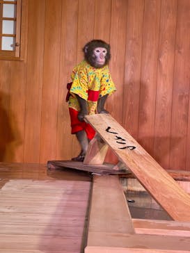 おさるの湯もみ処　おさ湯に投稿された画像（2023/5/20）