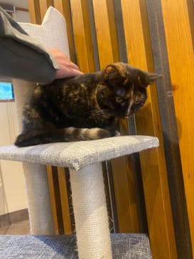 おさるの湯もみ処　おさ湯に投稿された画像（2023/5/20）