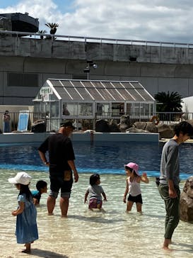 大分マリーンパレス水族館 「うみたまご」に投稿された画像（2023/5/20）