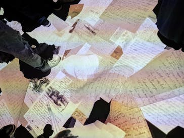 ゴッホ・アライブ神戸に投稿された画像（2023/5/20）