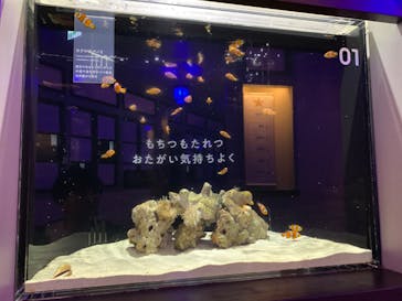 横浜開運水族館 フォーチュンアクアリウムに投稿された画像（2023/5/20）