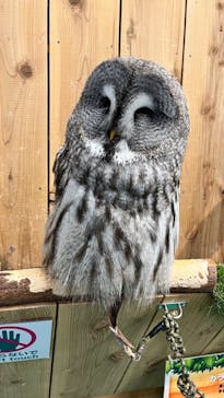 伊豆シャボテン動物公園に投稿された画像（2023/5/20）