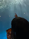 名古屋港水族館に投稿された画像（2023/5/20）