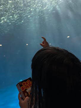 名古屋港水族館に投稿された画像（2023/5/20）