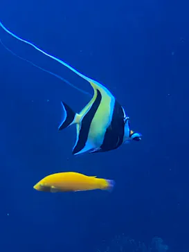 サンシャイン水族館に投稿された画像（2023/5/20）
