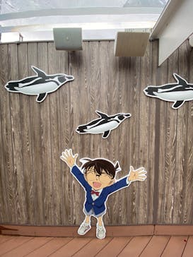 サンシャイン水族館に投稿された画像（2023/5/20）