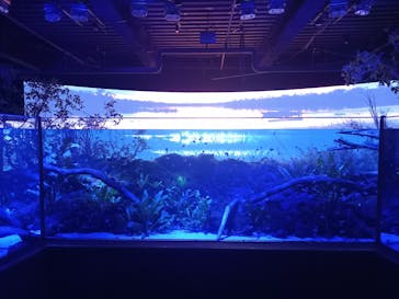 カワスイ 川崎⽔族館に投稿された画像（2023/5/20）