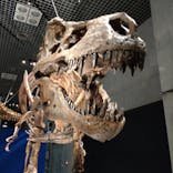 特別展「恐竜博2023」に投稿された画像（2023/5/20）