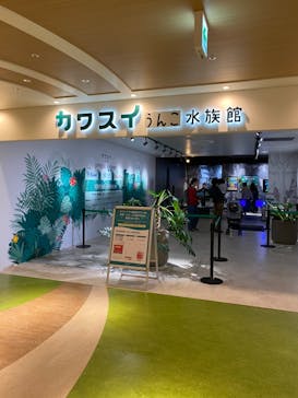 カワスイ 川崎⽔族館に投稿された画像（2023/5/20）