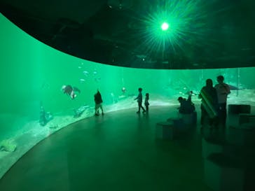 カワスイ 川崎⽔族館に投稿された画像（2023/5/20）