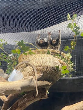 カワスイ 川崎⽔族館に投稿された画像（2023/5/20）