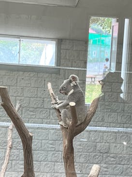 淡路ファームパーク イングランドの丘に投稿された画像（2023/5/20）