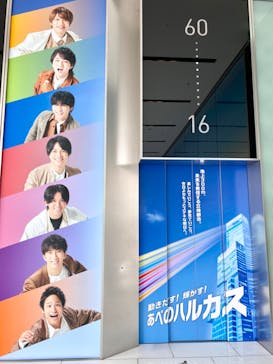 ハルカス300(展望台)に投稿された画像（2023/5/20）