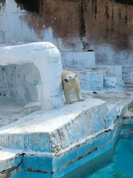 天王寺動物園に投稿された画像（2023/5/20）