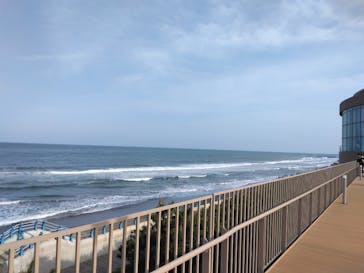 アクアワールド茨城県大洗水族館に投稿された画像（2023/5/20）