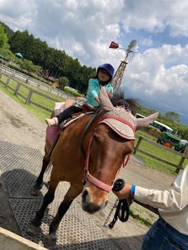 まかいの牧場に投稿された画像（2023/5/20）