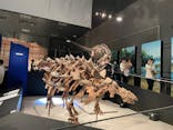 特別展「恐竜博2023」に投稿された画像（2023/5/21）