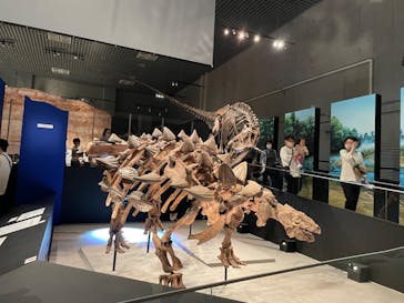 特別展「恐竜博2023」に投稿された画像（2023/5/20）