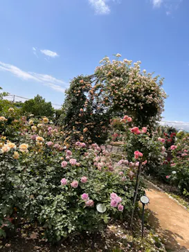 ひらかたパークに投稿された画像（2023/5/20）