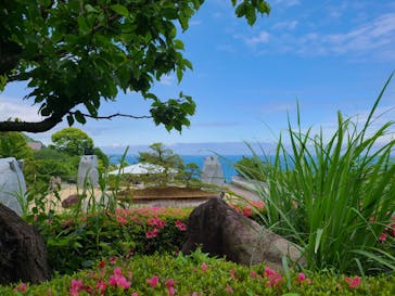 ACAO FORESTに投稿された画像（2023/5/20）