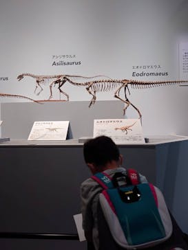 特別展「恐竜博2023」に投稿された画像（2023/5/20）