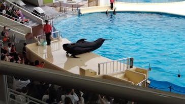 マリンワールド海の中道に投稿された画像（2023/5/20）