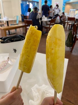 ナゴパイナップルパークに投稿された画像（2023/5/20）