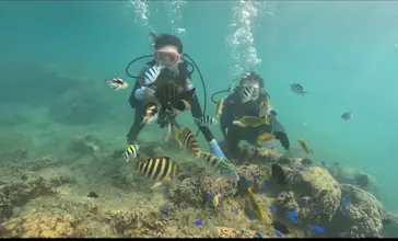 武藤潜水に投稿された画像（2023/5/21）