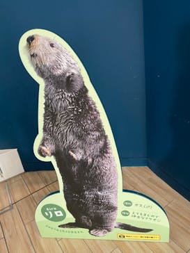 マリンワールド海の中道に投稿された画像（2023/5/21）