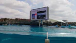 名古屋港水族館に投稿された画像（2023/5/21）