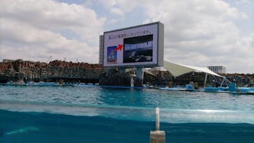 名古屋港水族館に投稿された画像（2023/5/21）