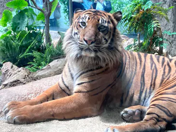 神戸どうぶつ王国に投稿された画像（2023/5/21）