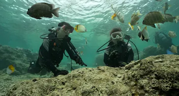 武藤潜水に投稿された画像（2023/5/21）