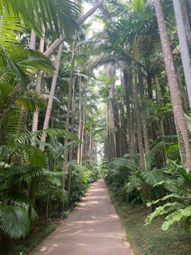 美らヤシパークオキナワ・東南植物楽園に投稿された画像（2023/5/21）