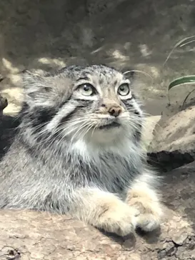 神戸どうぶつ王国に投稿された画像（2023/5/21）