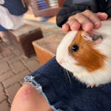 日立市かみね動物園に投稿された画像（2023/5/21）