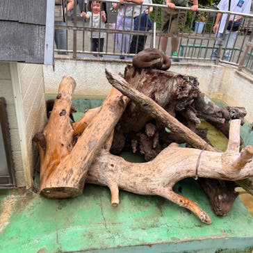 日立市かみね動物園に投稿された画像（2023/5/21）